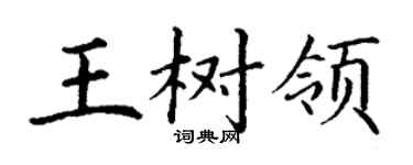 丁谦王树领楷书个性签名怎么写