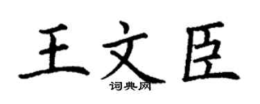 丁谦王文臣楷书个性签名怎么写