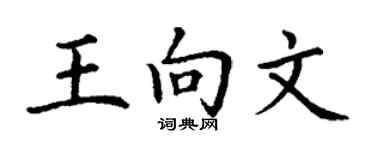 丁谦王向文楷书个性签名怎么写