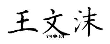 丁谦王文沫楷书个性签名怎么写