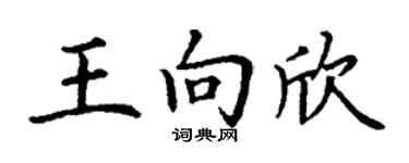 丁谦王向欣楷书个性签名怎么写