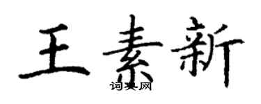 丁谦王素新楷书个性签名怎么写