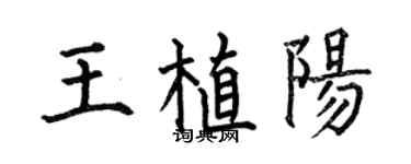 何伯昌王植阳楷书个性签名怎么写