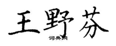 丁谦王野芬楷书个性签名怎么写