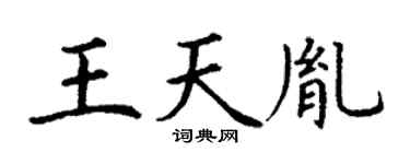 丁谦王天胤楷书个性签名怎么写