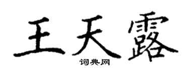 丁谦王天露楷书个性签名怎么写