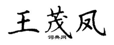 丁谦王茂凤楷书个性签名怎么写