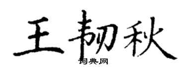 丁谦王韧秋楷书个性签名怎么写