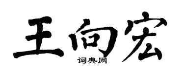 翁闿运王向宏楷书个性签名怎么写