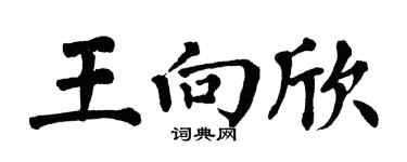 翁闿运王向欣楷书个性签名怎么写