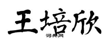 翁闿运王培欣楷书个性签名怎么写