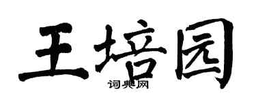 翁闿运王培园楷书个性签名怎么写