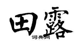 翁闿运田露楷书个性签名怎么写