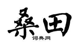 翁闿运桑田楷书个性签名怎么写