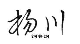 骆恒光杨川草书个性签名怎么写