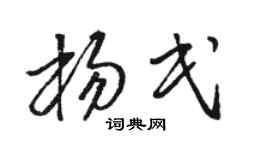 骆恒光杨民草书个性签名怎么写