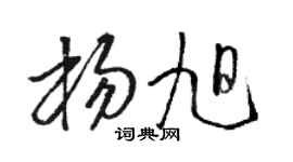 骆恒光杨旭草书个性签名怎么写