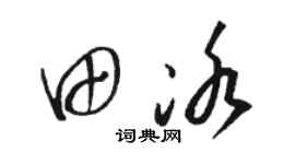 骆恒光田冰草书个性签名怎么写