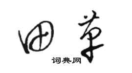 骆恒光田革草书个性签名怎么写