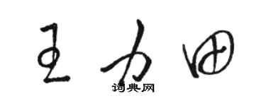 骆恒光王力田草书个性签名怎么写