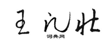 骆恒光王凡壮草书个性签名怎么写