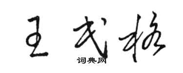 骆恒光王民格草书个性签名怎么写