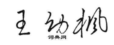 骆恒光王幼枫草书个性签名怎么写