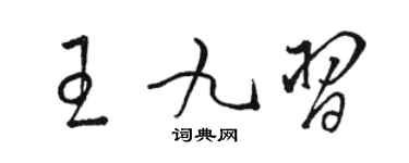 骆恒光王九习草书个性签名怎么写