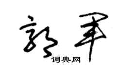 朱锡荣郭军草书个性签名怎么写