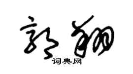 朱锡荣郭翔草书个性签名怎么写