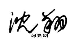 朱锡荣沈翔草书个性签名怎么写