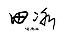 朱锡荣田冰草书个性签名怎么写