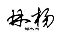 朱锡荣林杨草书个性签名怎么写