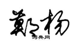 朱锡荣郑杨草书个性签名怎么写