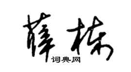 朱锡荣薛栋草书个性签名怎么写