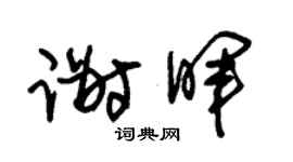 朱锡荣谢晖草书个性签名怎么写