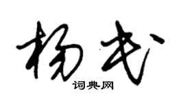 朱锡荣杨民草书个性签名怎么写