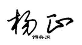 朱锡荣杨正草书个性签名怎么写