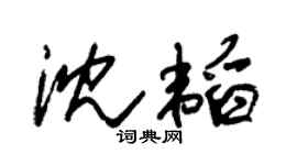 朱锡荣沈韬草书个性签名怎么写