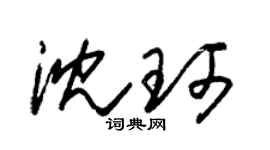 朱锡荣沈珂草书个性签名怎么写