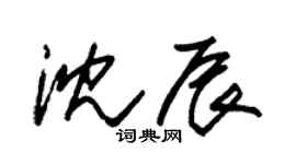 朱锡荣沈辰草书个性签名怎么写