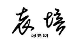 朱锡荣袁培草书个性签名怎么写