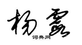 朱锡荣杨霞草书个性签名怎么写