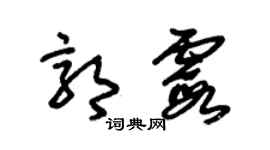 朱锡荣郭霞草书个性签名怎么写