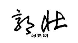 朱锡荣郭壮草书个性签名怎么写