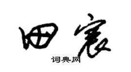 朱锡荣田宸草书个性签名怎么写