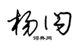 朱锡荣杨闪草书个性签名怎么写