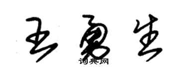 朱锡荣王勇生草书个性签名怎么写