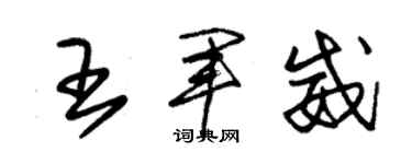 朱锡荣王军威草书个性签名怎么写