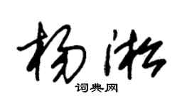 朱锡荣杨淞草书个性签名怎么写